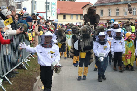 ZLATA POROKA PUSTNI KARNEVAL 47 FOTO LJUBO VUKELIČ